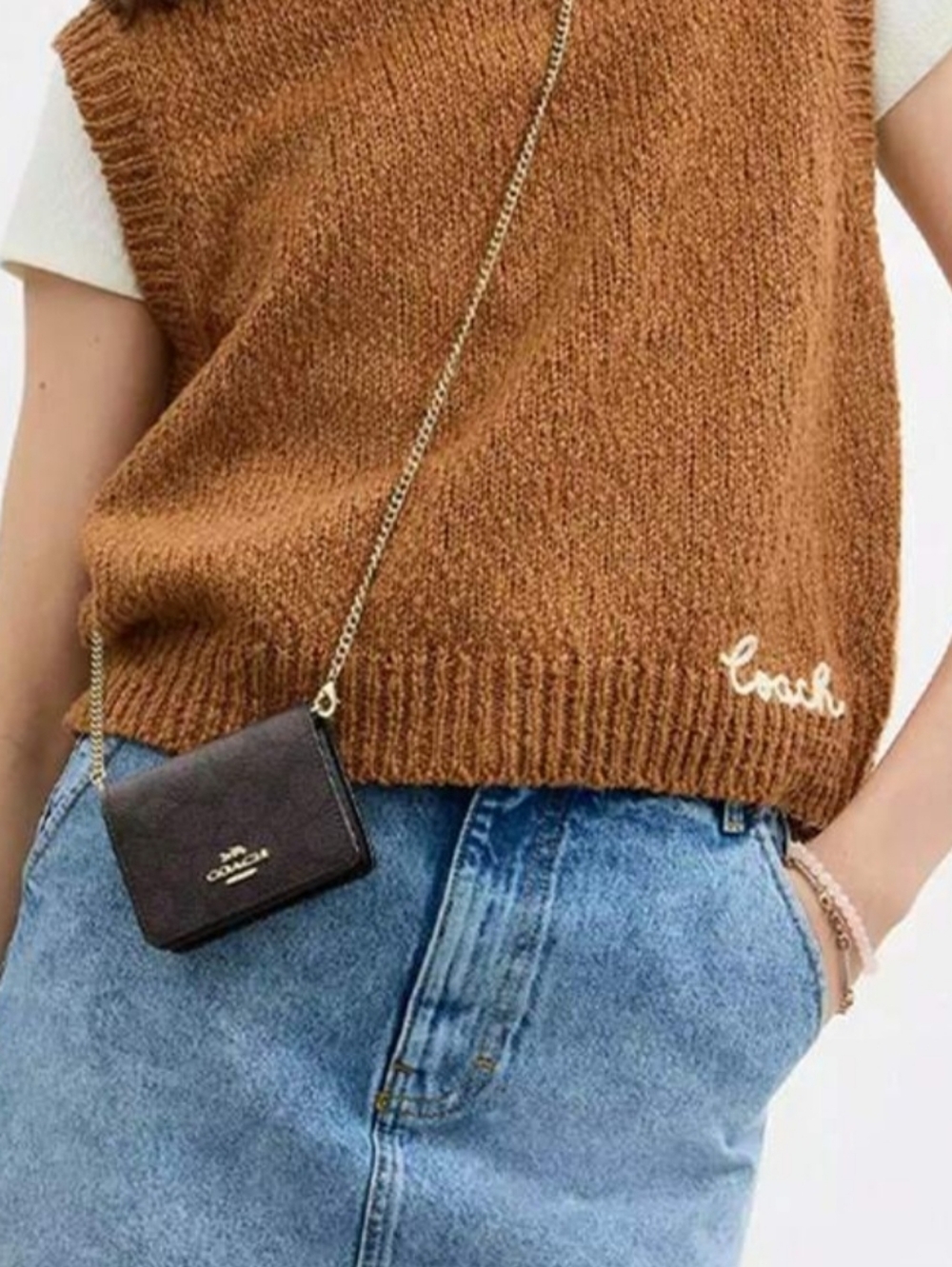 COACH Mini Wallet On A ChainIn Signature Jacquard